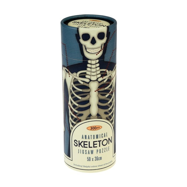 Puzzle în tub Rex London Anatomical Skeleton