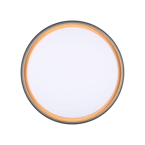 Plafonieră neagră LED ø 40 cm Felis – Reality-image-4