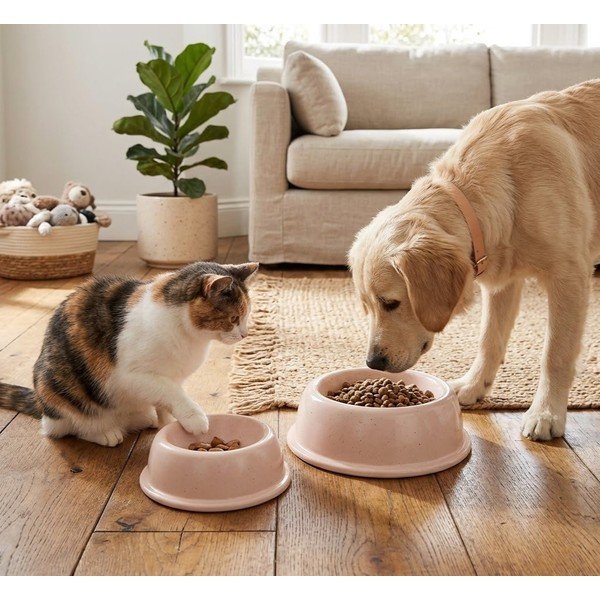 Bol pentru animale pentru animale de companie din gresie ceramică ø 21 cm – Casafina-image-1