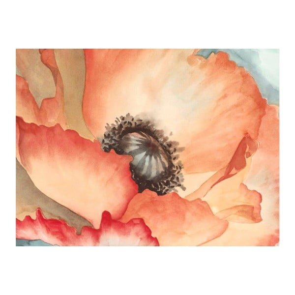 Tablou DecoMalta Zoom Poppies, 65 x 50 cm