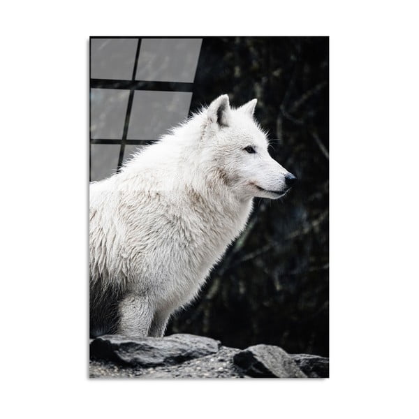 Tablou din sticlă 70x100 cm White Wolf – Wallity