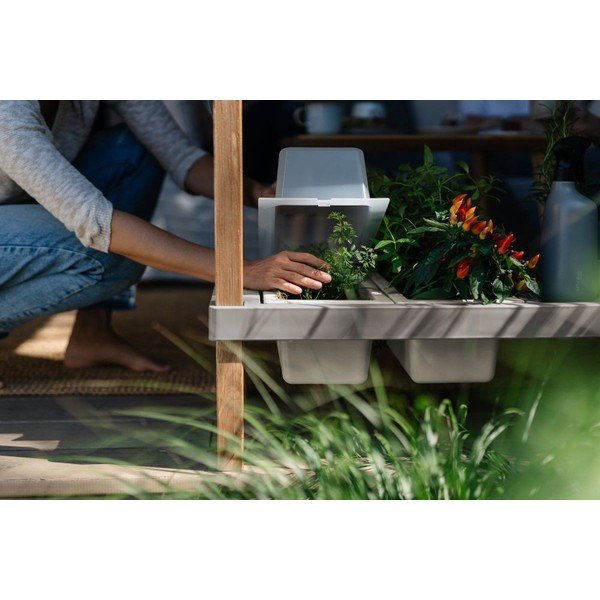 Pat ridicat de plante – Plastia-image-2