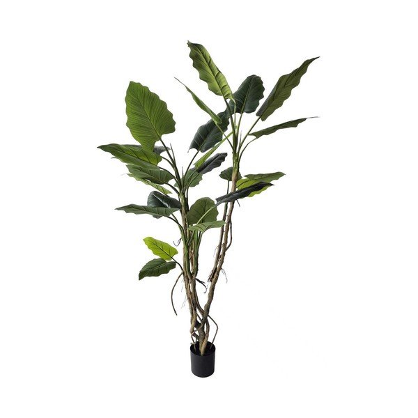 Plantă artificială (înălțime 190 cm) Alocasia – Bizzotto