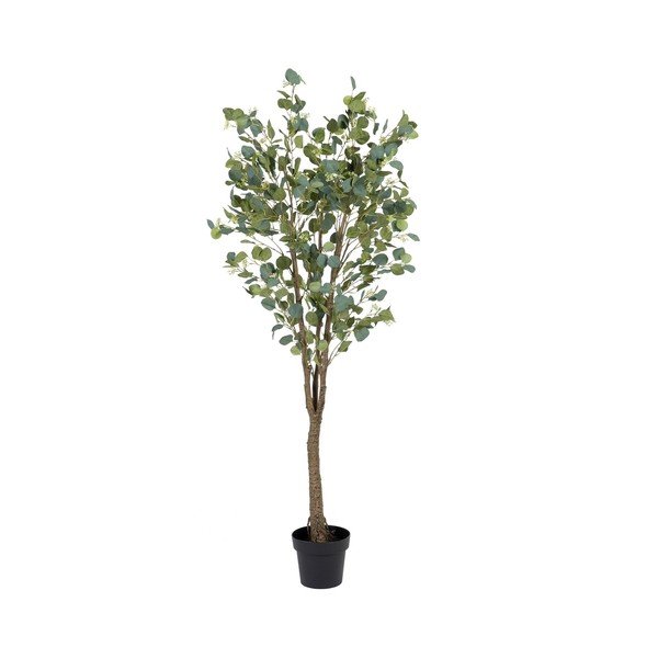 Eucalipt artificial (înălțime 173 cm) Eucalyptus – Ixia