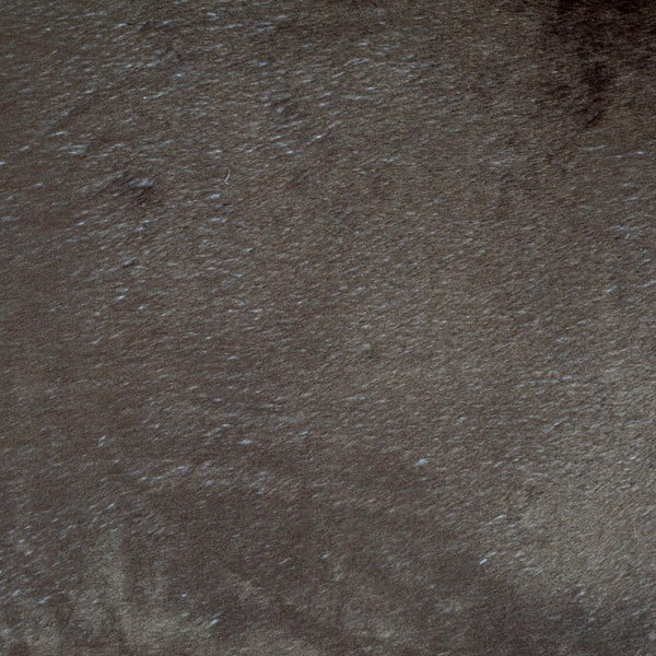 Pat pentru animale de companie maro deschis pentru câini ø 50 cm – Love Story-image-4