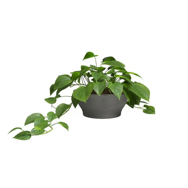 Ghiveci din teracotă ø 23 cm Saramago – Artevasi-image-1