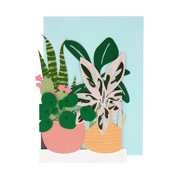 Felicitare Potted Plant – Meri Meri-image-1