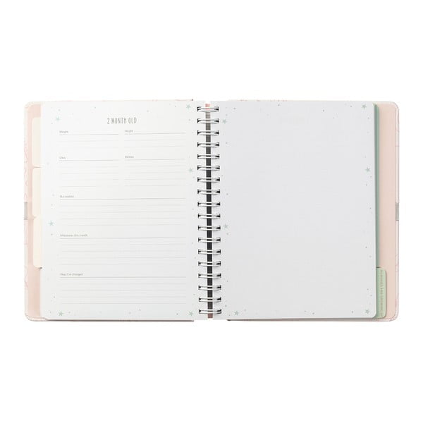 Jurnal pentru bebeluș 98 pag. Pink – Busy B-image-4