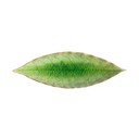 Tavă din gresie ceramică 6x18 cm Riviera – Costa Nova
