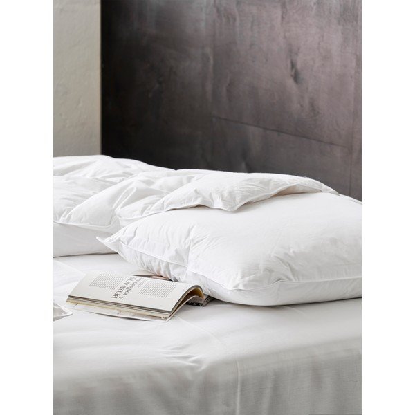 Pernă cu umplutură de pene 70x80 cm Jack the Dullard – Ringsted Dun-image-2
