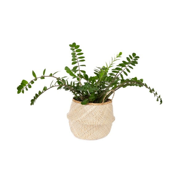 Coș pentru depozitare din iarbă de mare Compactor Zic Zac, ⌀ 45 cm-image-1