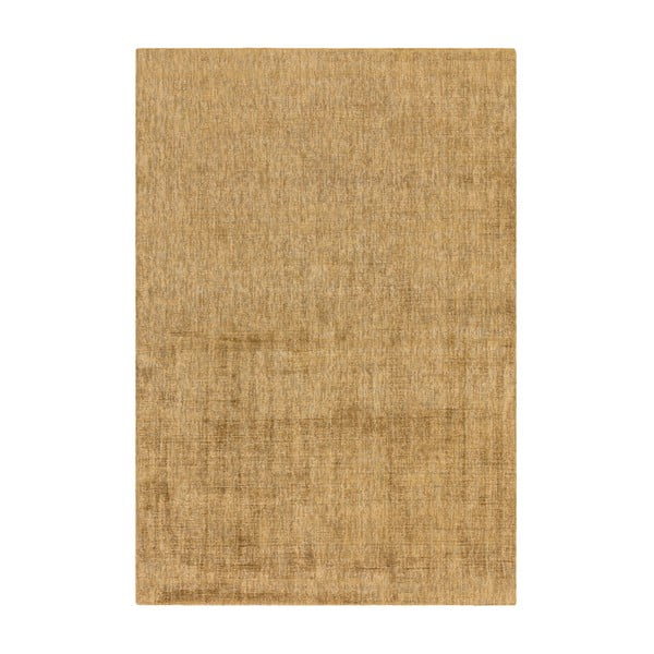 Covor galben 170x120 cm Aston - Asiatic Carpets