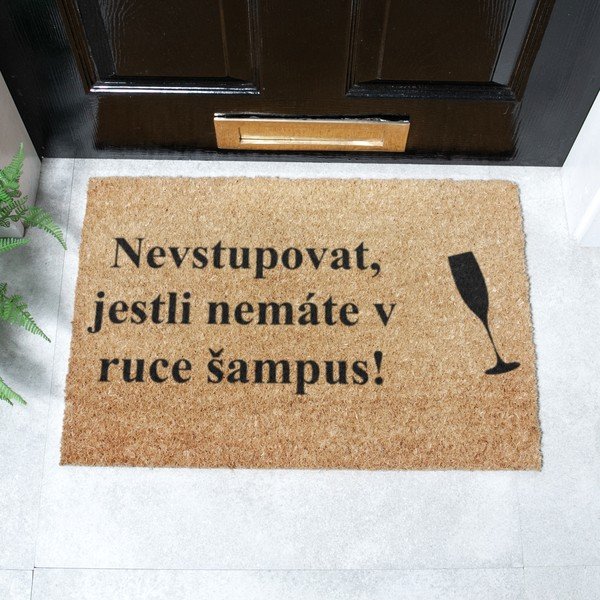 Covoraș de intrare din fibre de nucă de cocos 40x60 cm Šampus – Artsy Doormats-image-2