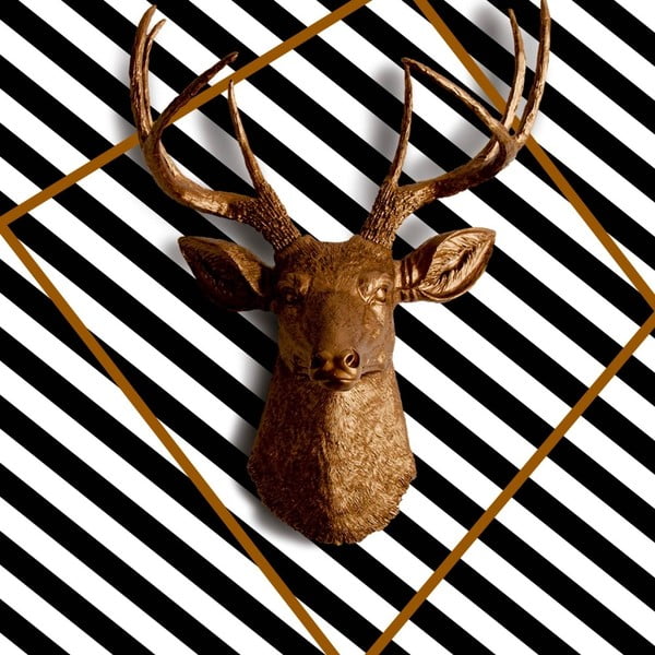 Tablou Deer, 60 x 60 cm