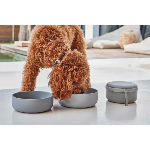 Set de boluri de călătorie pentru câini din silicon ø 19 cm Bento Concrete/Slate – MiaCara-image-1
