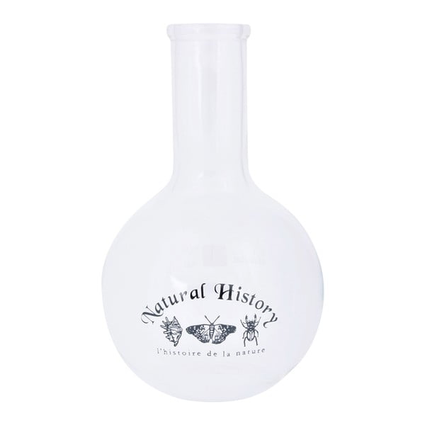 Vază din sticlă (înălțime 23 cm) Natural History – Esschert Design