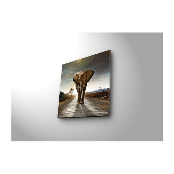 Tablou cu iluminare Elephant, 28 x 28 cm