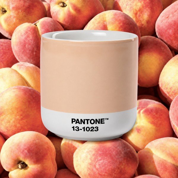 Ceașcă portocalie pentru cappuccino din porțelan 175 ml Peach Fuzz 13-1023 – Pantone-image-1