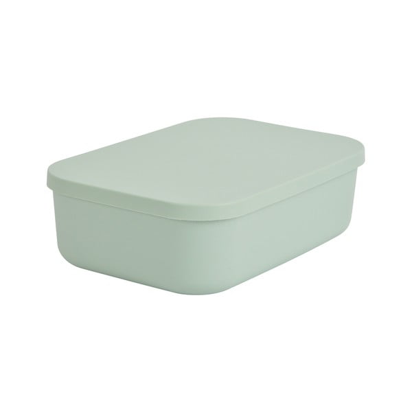 Cutie de depozitare verde-deschis din plastic cu capac 24x18x8 cm – Homéa