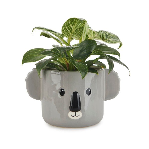 Ghiveci din ceramică ø 13,5 cm Koala – Balvi-image-1