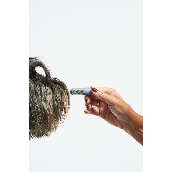 Set de periuțe de dinți pentru animale Dito – MiaCara-image-4