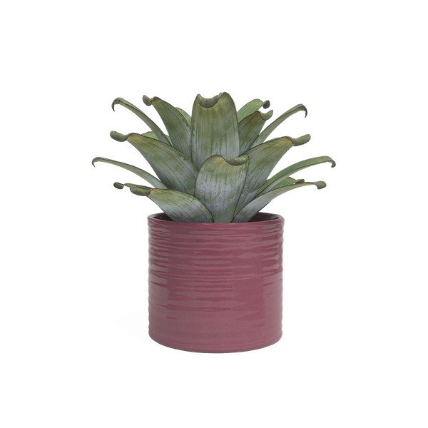 Ghiveci decorativ din ceramică handmade ø 25 cm Fortuna – Artevasi