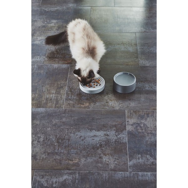 Bol pentru animale pentru pisici din porțelan ø 14 cm Fresco Concrete S – MiaCara-image-4