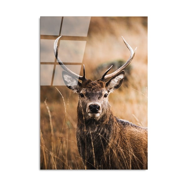 Tablou din sticlă 70x100 cm Deer – Wallity