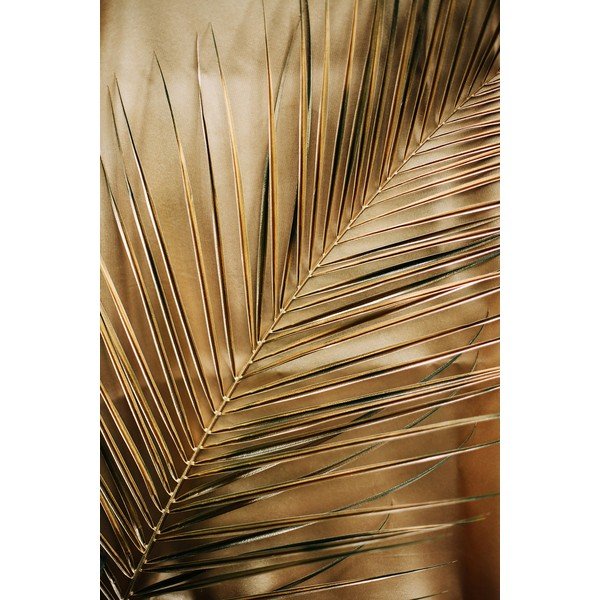 Tablou din sticlă imprimat 80x120 cm Gold Palm  – Styler