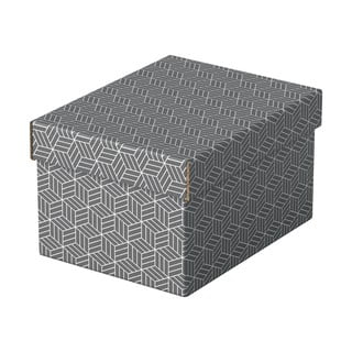 Set 3 cutii depozitare Esselte Home 20 x 25,5 cm, gri