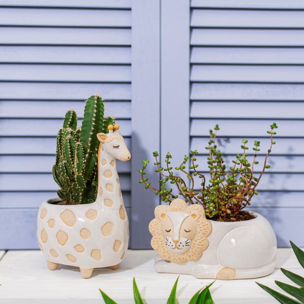 Ghiveci Sass & Belle Leo Lion, ø 7 cm, alb - bej-image-1