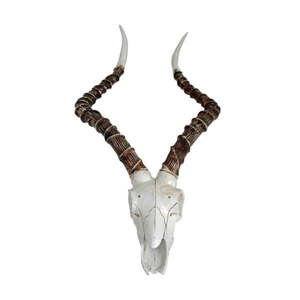 Decorațiune de perete din polirășină 33x68 cm Impalak – Deco Pleasure