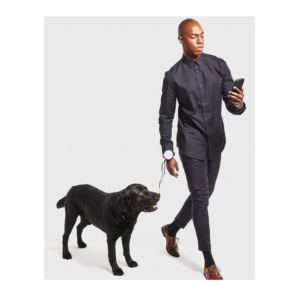 Lesă albastră M 3 Bungee – Lishinu-image-4