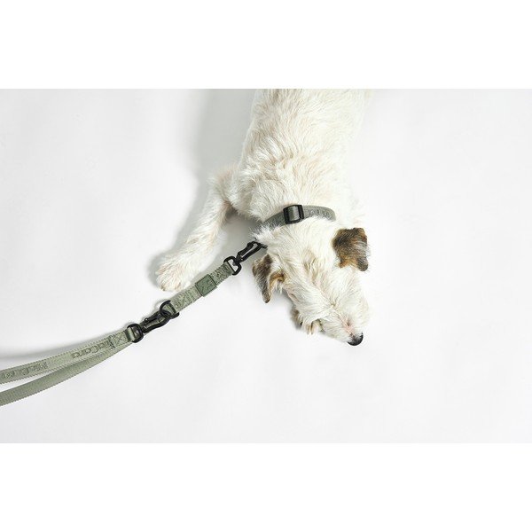 Zgardă gri închis S/M lungime 32 cm Modena Asphalt S/SM – MiaCara-image-4