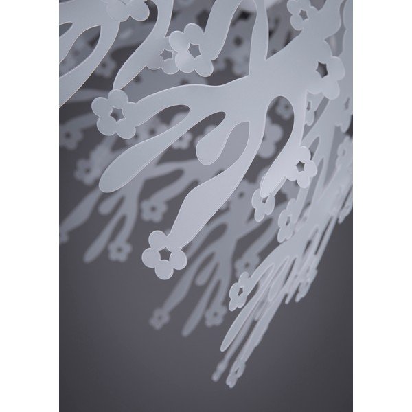 Corp de iluminat Papalux Organic Clear, transparent-image-4