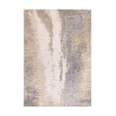 Covor bej 200x290 cm Aurora Cliff – Asiatic Carpets