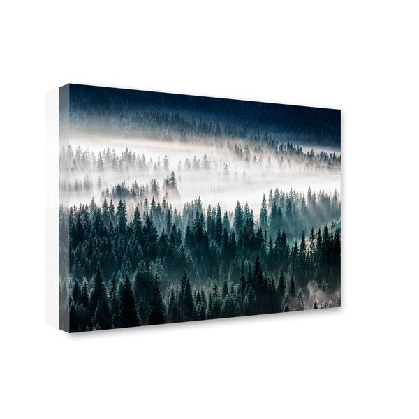 Tablou Styler Glasspik Misty Forest, 80 x 120 cm-image-1