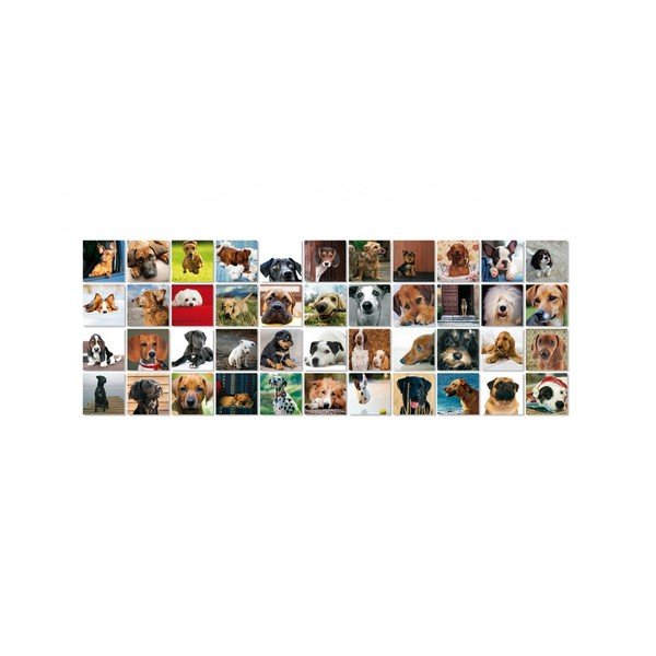 Joc Remember 44 Dogs-image-3