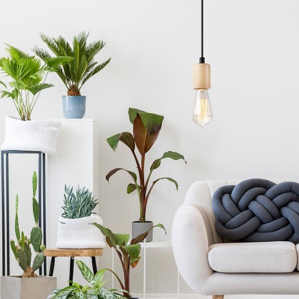 Lustră în culoare naturală Leon – LAMKUR-image-1