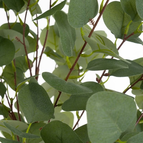 Plantă artificială Eucalyptus – Casa Selección-image-1