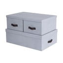 Cutii de depozitare gri-deschis 3 buc. din carton cu capac 31x47x15 cm Inge – Bigso Box of Sweden