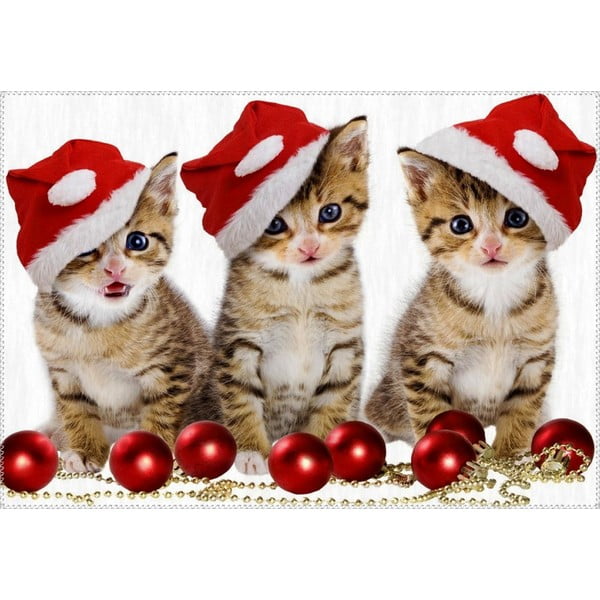 Covor Vitaus Christmas Period Three Cats, 50 x 80 cm