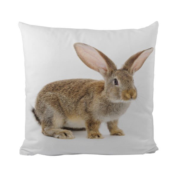 Pernă This Bunny, 50x50 cm