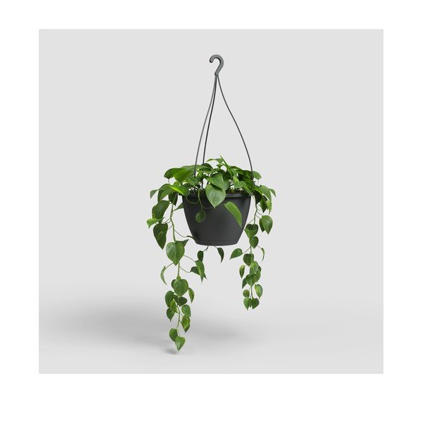 Ghiveci din plastic ø 31 cm Algarve – Artevasi-image-4