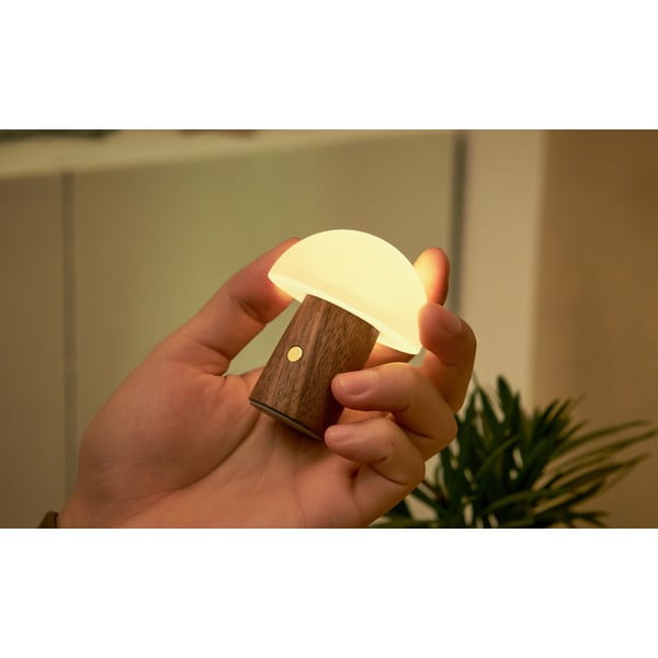 Veioză albă/în culoare naturală închisă LED (înălțime 7 cm) Alice Mushroom – Gingko-image-4