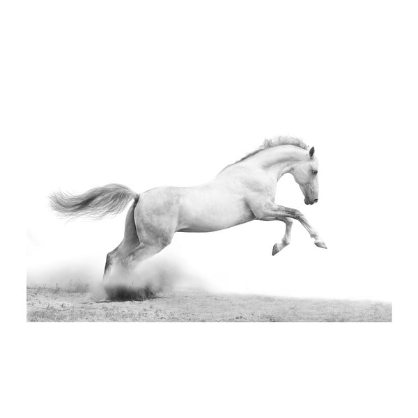 Tablou Wild Horse, 45 x 70 cm