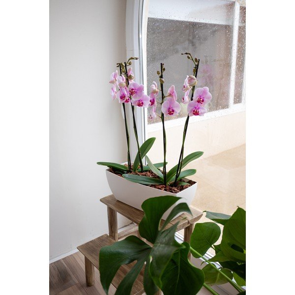 Jardinieră din plastic reciclat 40 cm Siena – Artevasi-image-2