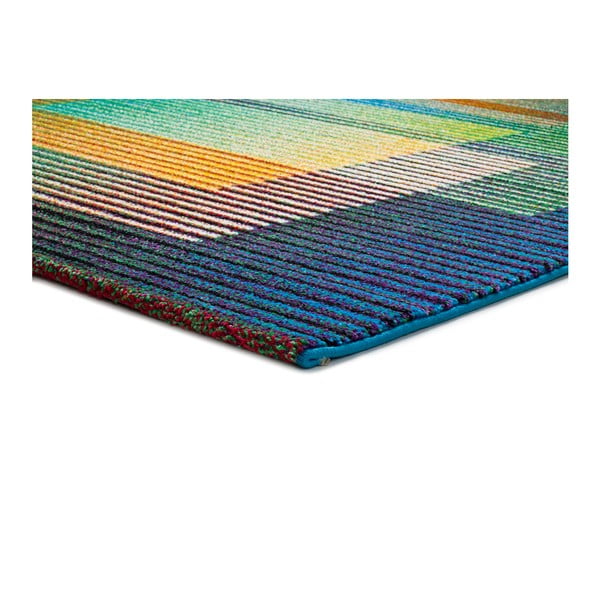 Covor Universal Gio Asombroso, 120 x 170 cm-image-2