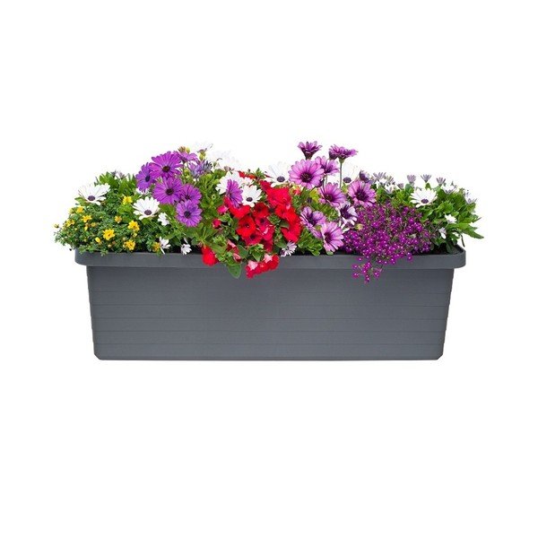 Ghiveci gri cu sistem de auto-irigare, 72 l Berberis Trio - Plastia-image-1