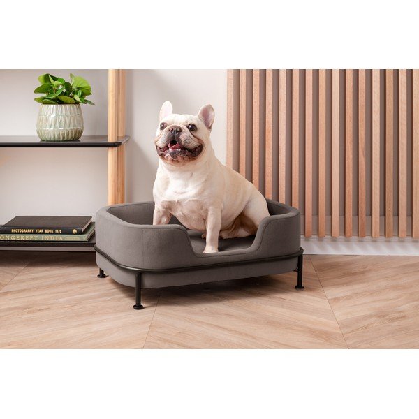 Pat pentru animale de companie gri din catifea universal 42x63 cm Puffed – Leitmotiv-image-1